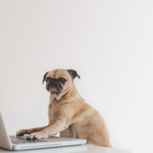Como gerar leads qualificados no site da sua corretora